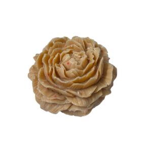Rose1